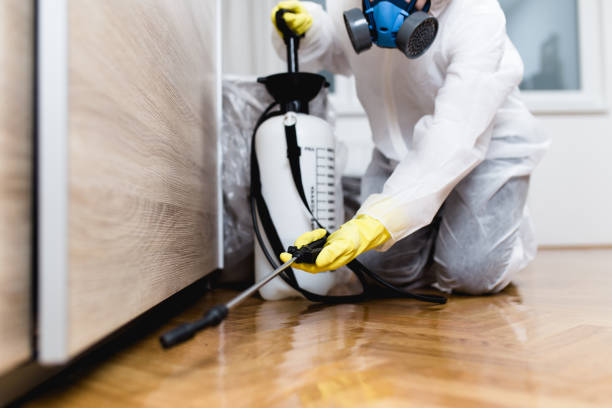 Best Residential Pest Control  in Springdale, MD
