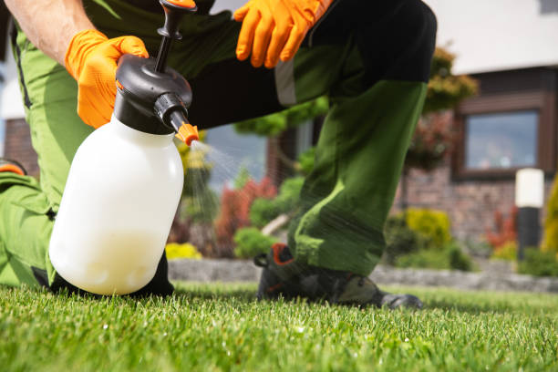 Best Pest Prevention Services  in Springdale, MD