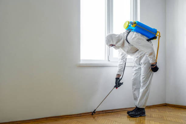 Professional Pest Control in Springdale, MD