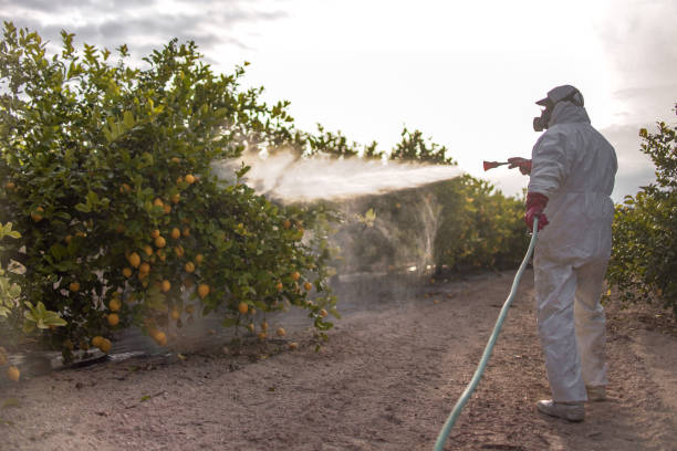 Best Commercial Pest Control Services  in Springdale, MD