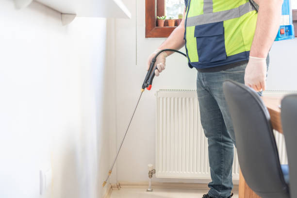 Best Best Pest Control Companies  in Springdale, MD