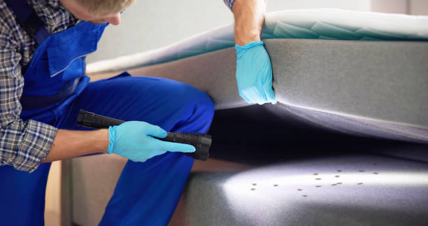 Pest Prevention Services in Springdale, MD