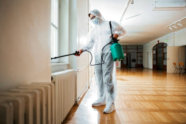 Best Mosquito Control Services  in Springdale, MD